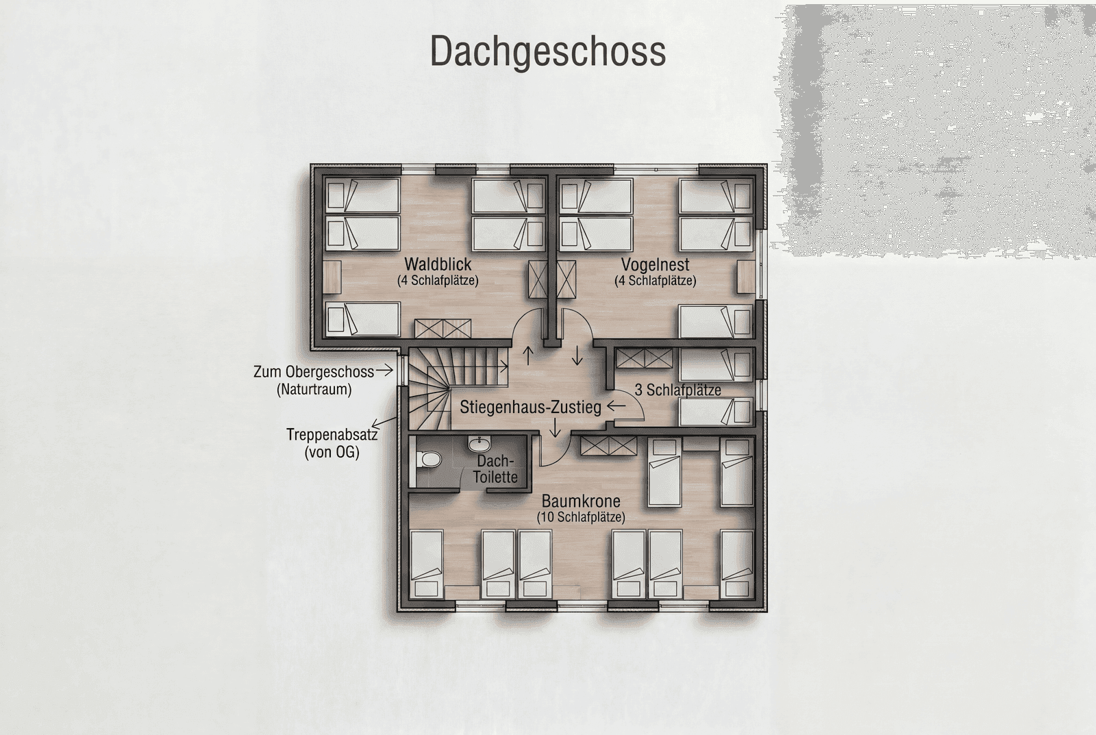 Grundriss Dachgeschoss