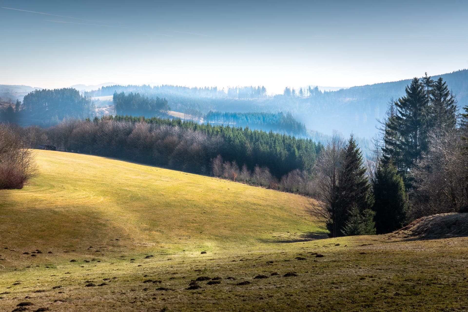 Sauerland-Hoehenzug im sanften Licht